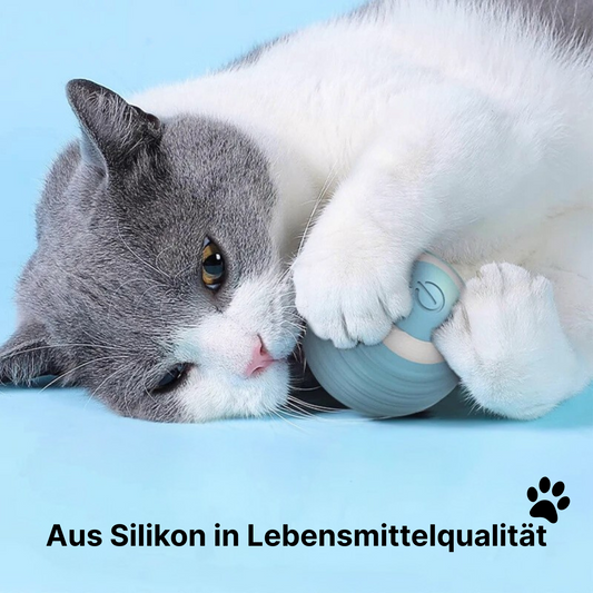RolliPaws – Der rollende Spaß für jede Samtpfote